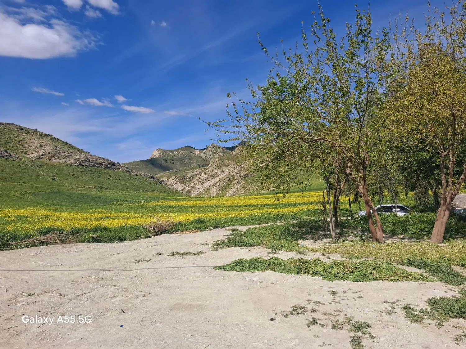 زمین مناسب خانه باغ