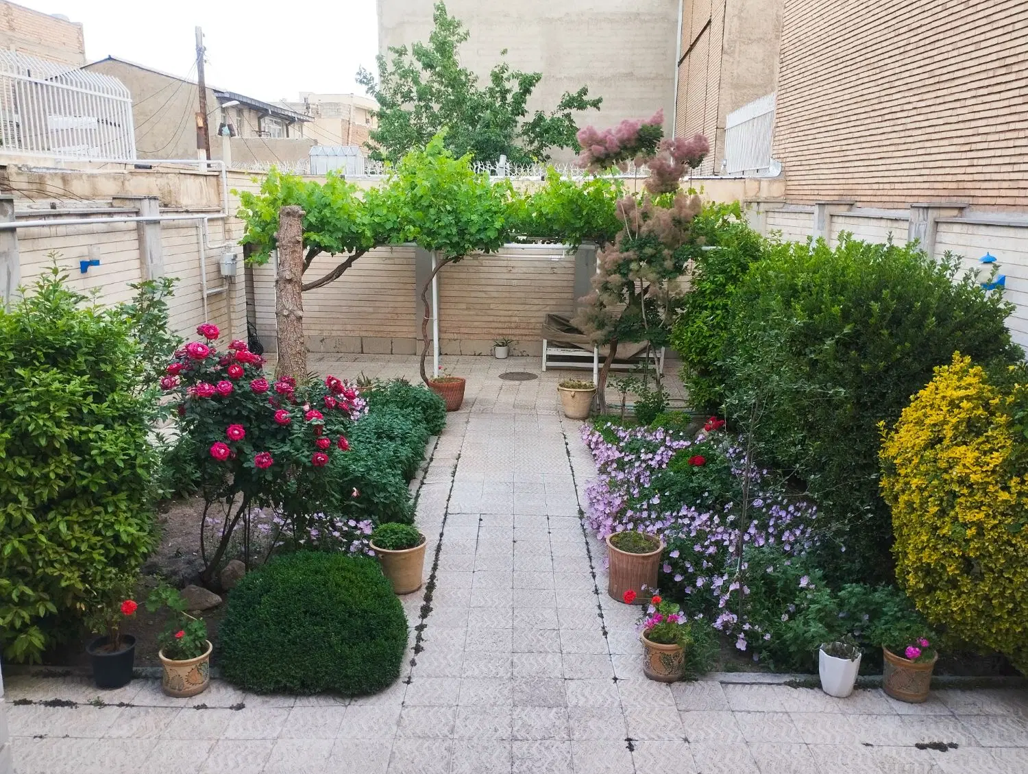 فروش حیاط