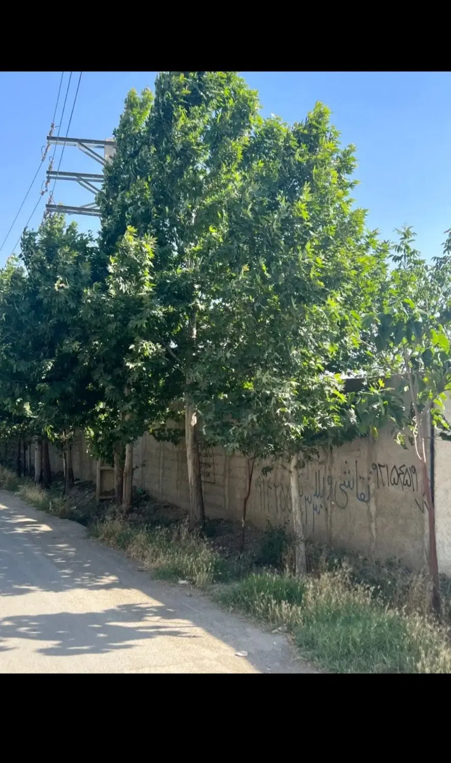 سعیداباد نمکلان ۷۰۰م باغچه سند تک برگ تهراندشت