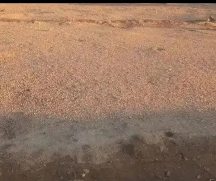 زمین مسکونی رضوانشهر