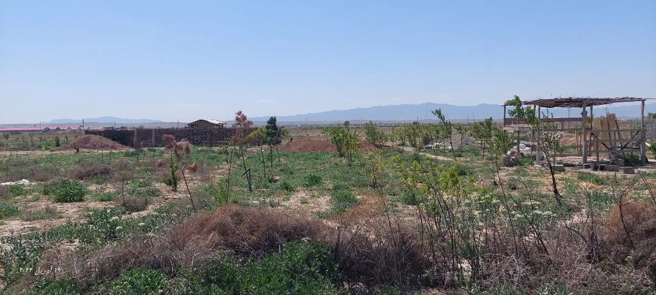 زمین کشاورزی