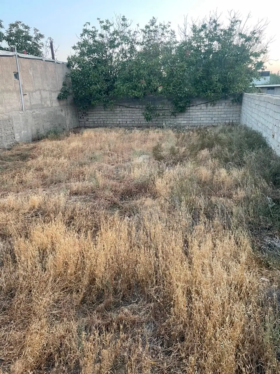 زمین به متراژ ۲۹۴ متر در تهراندشت