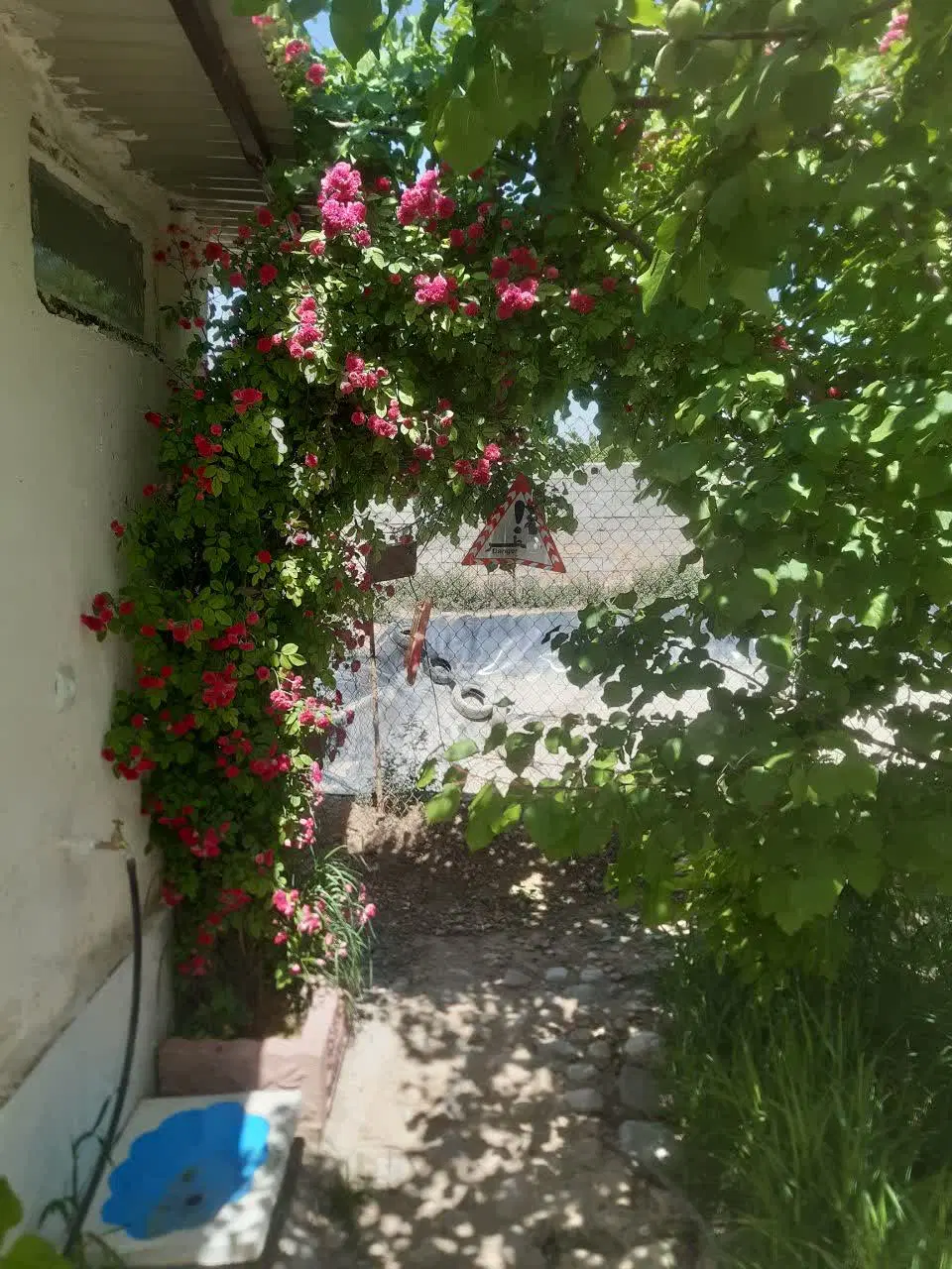 بـوم گردی سیمرغ مغان