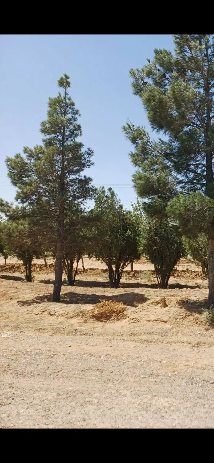 ۷۵۰ متر زمین باکاربری باغی تحویل