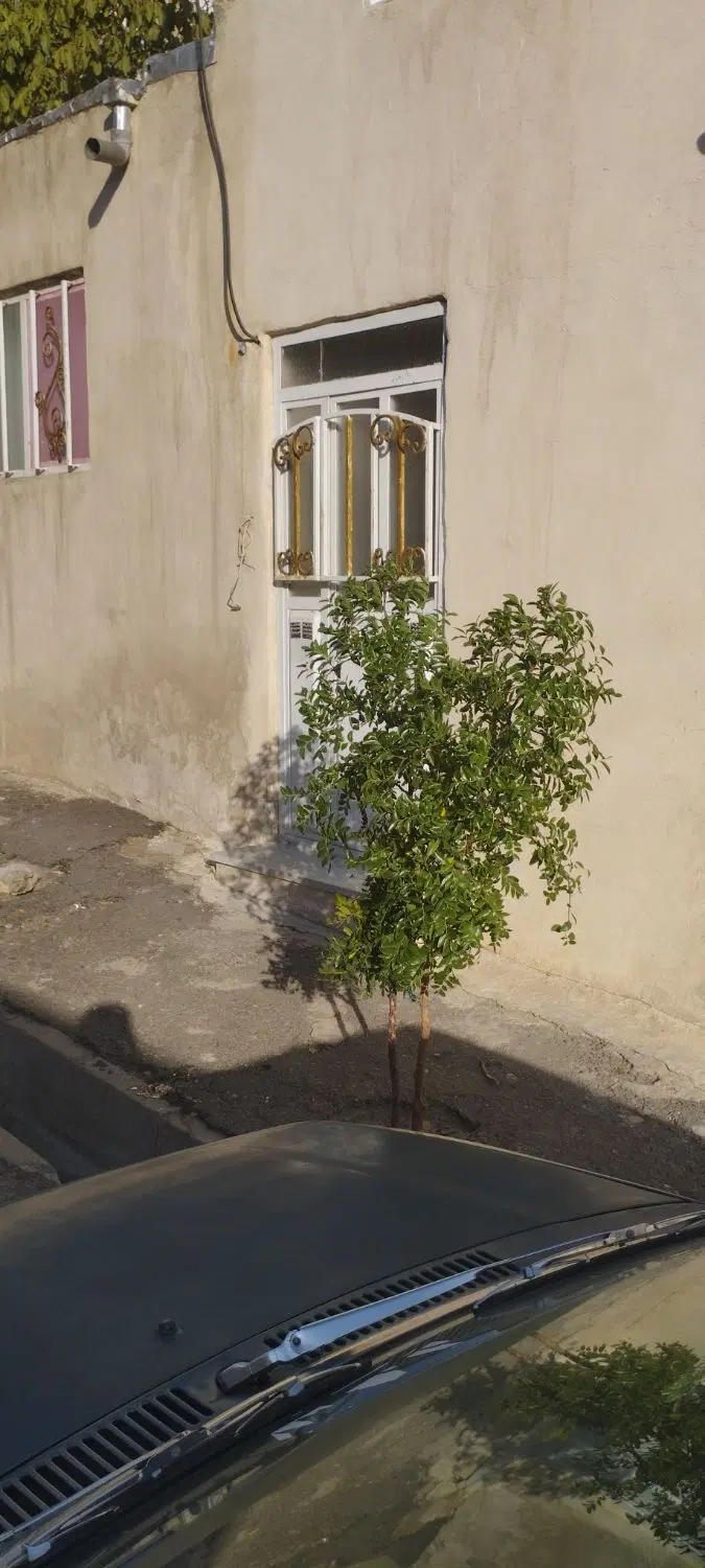 اجاره خانه ویلایی پارکینگ دار