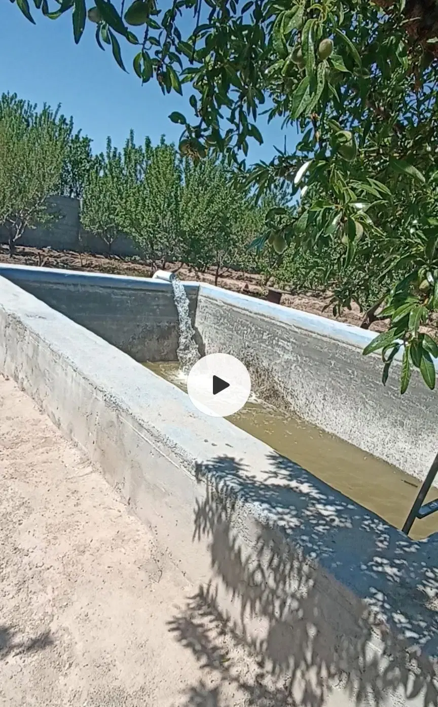 باغ ویلا
