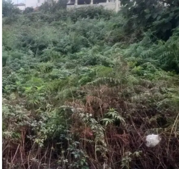 1100 زمین با سند تک برگ