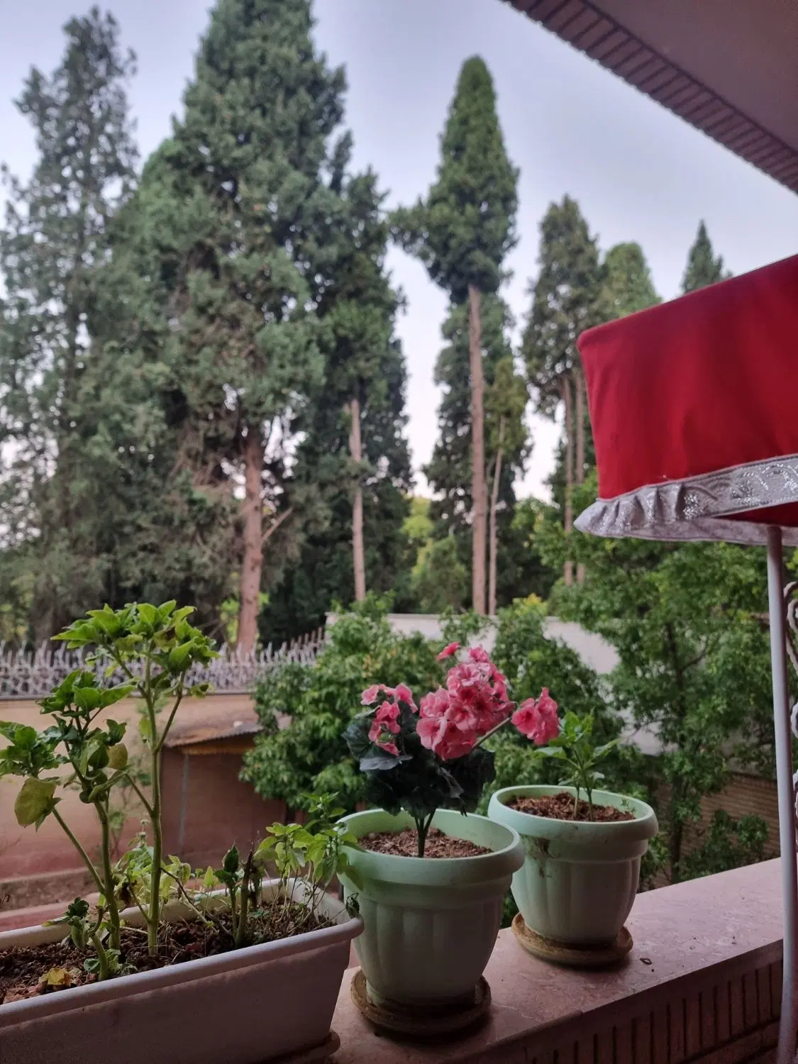 رهن منزل مسکونی در منطقه ۱ شیراز باغ ناری ارم