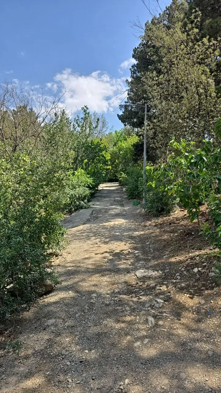 زمین مسکونی