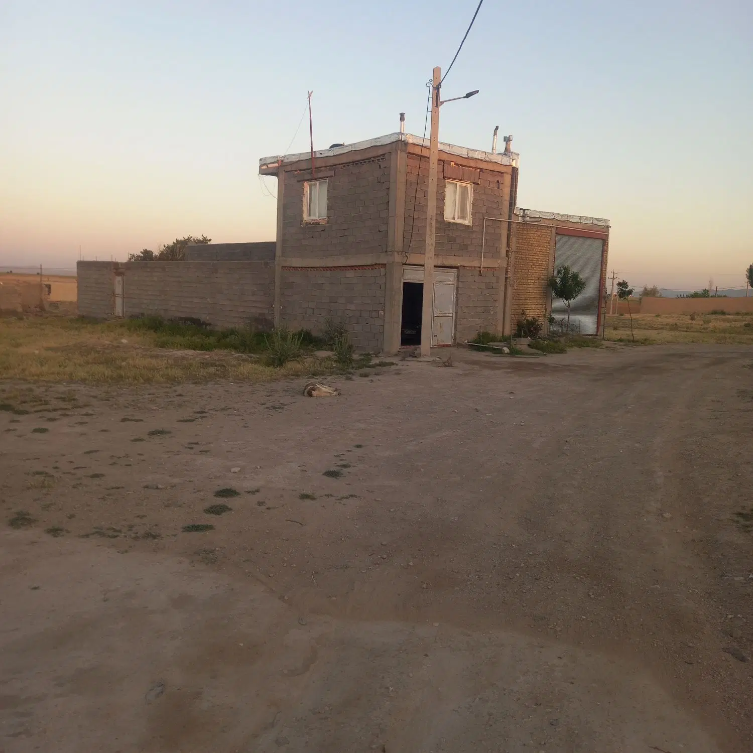 دامداری