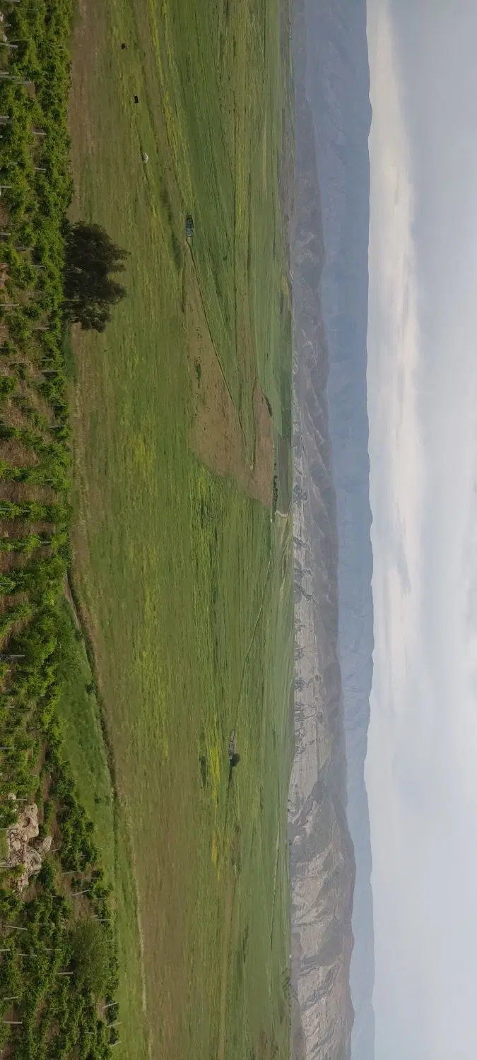 زمین مسکونی