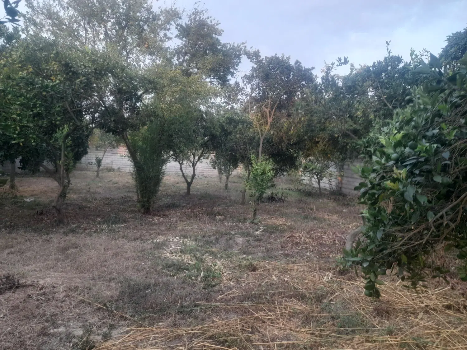 فروش زمین در هوشنگ پوری