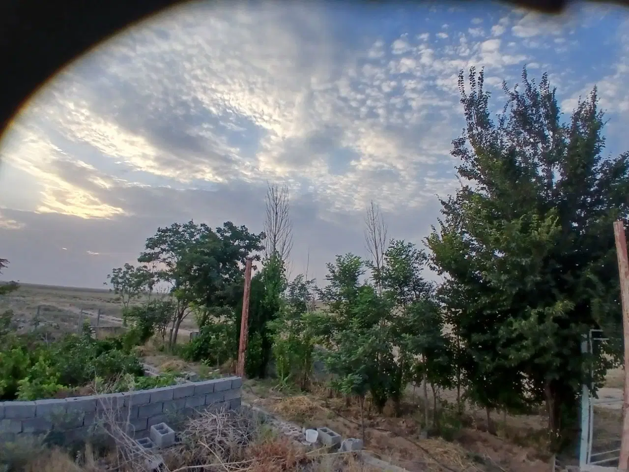 زمین فروشی