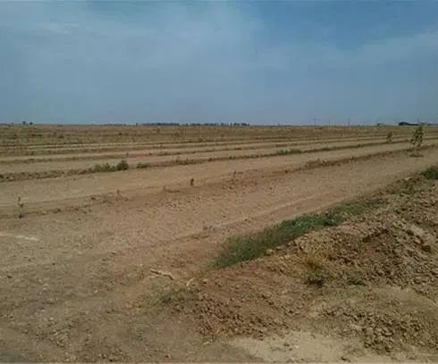سرمایه گذاری با رشد مناسب
