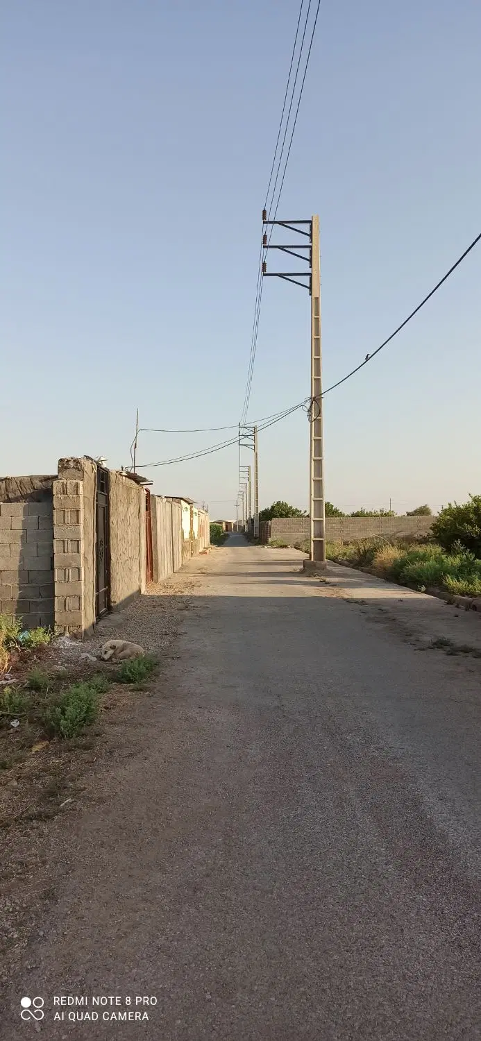 باغچه 1000متری برق دار بندبال