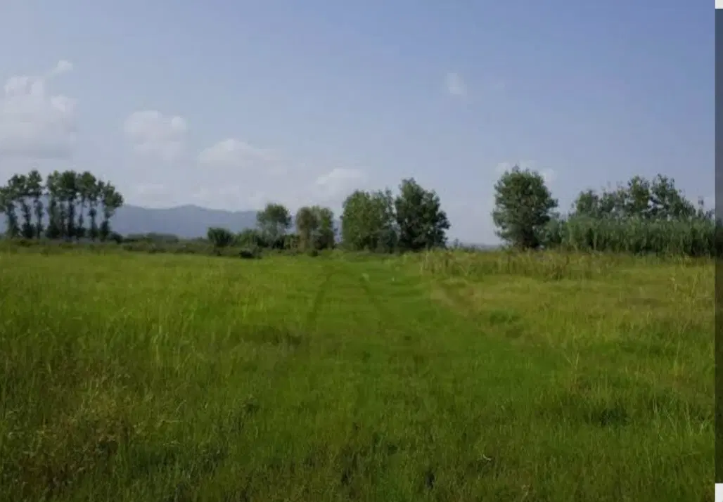 زمین باغی پایین کوه