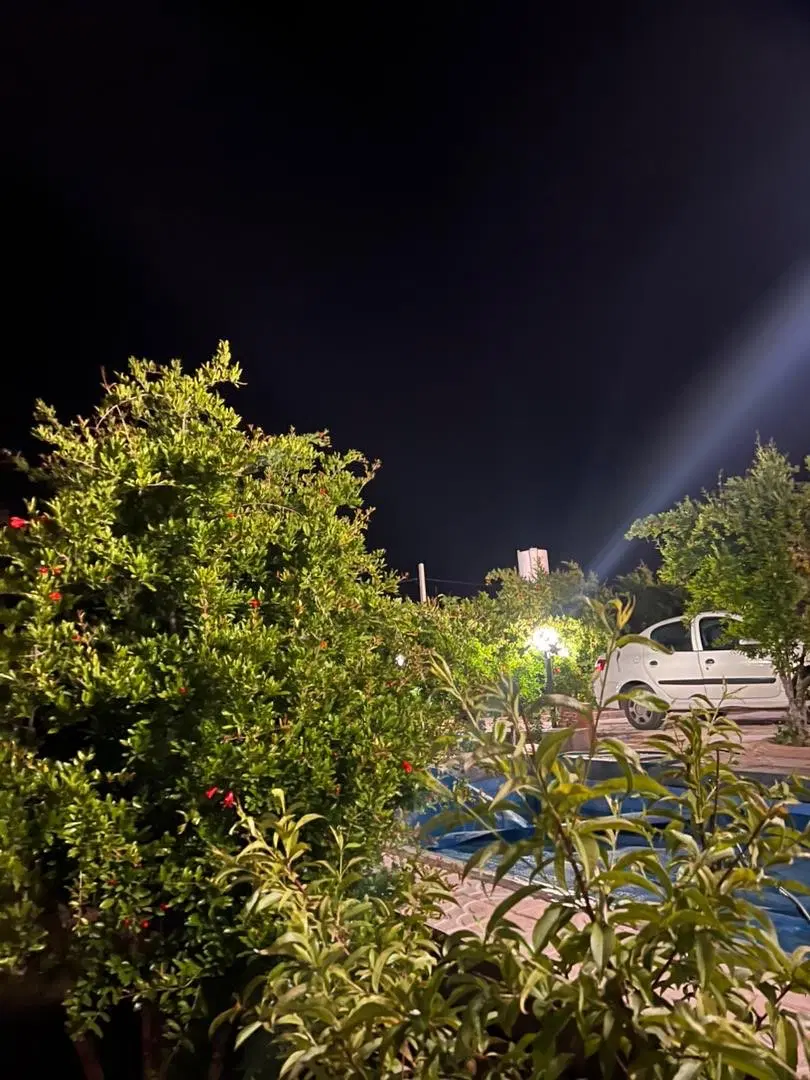 فروش‌باغ در سیخ دارنگون شیراز