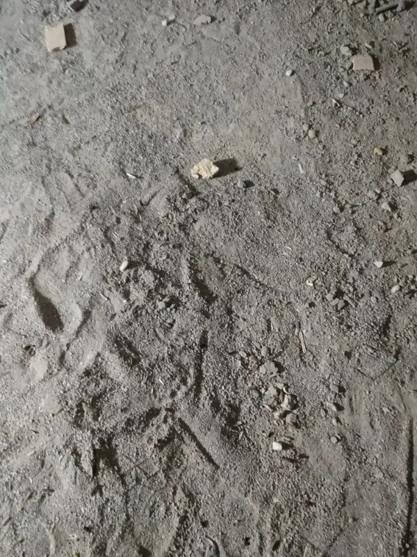 زمین 240 متری واگذاری جدید