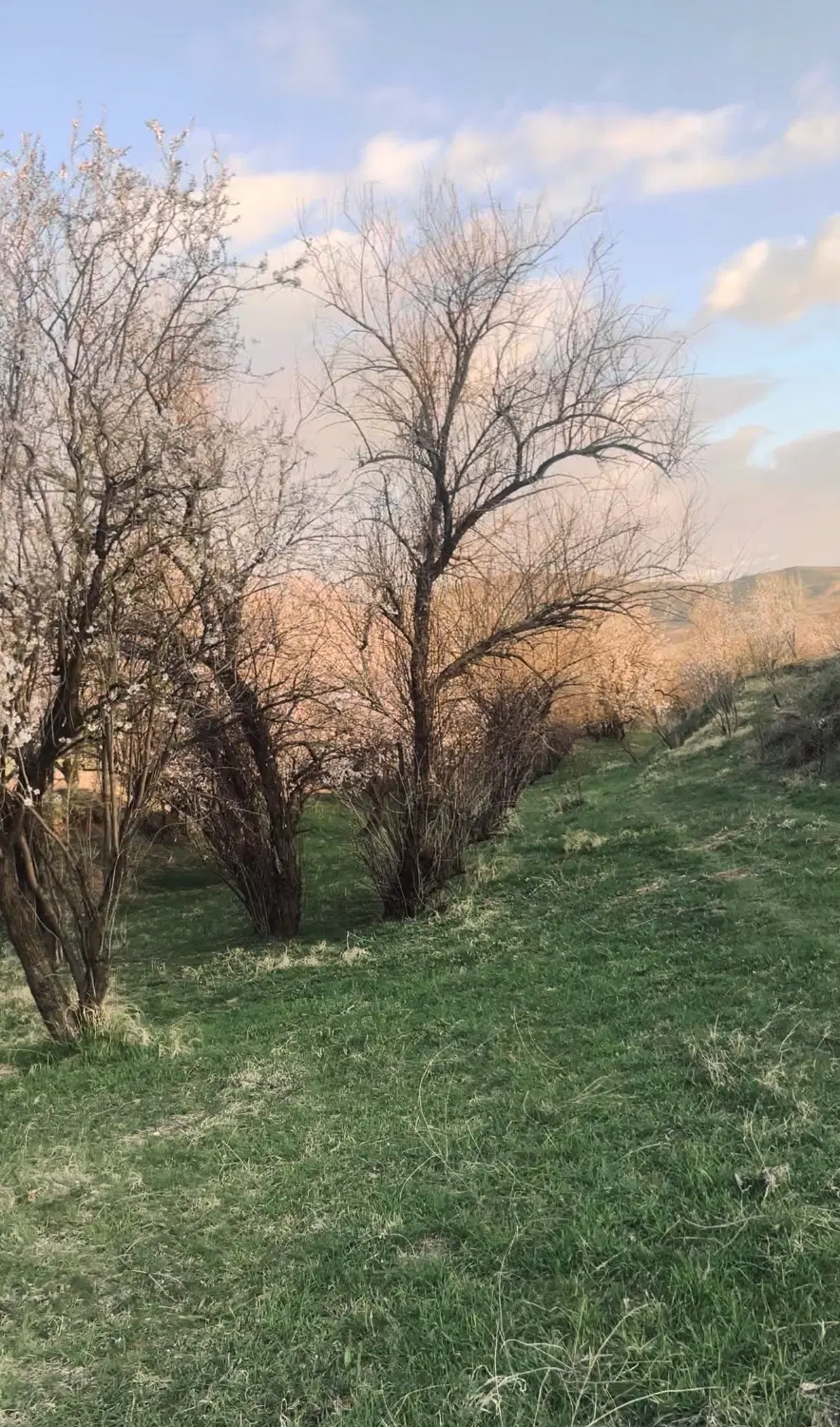 باغ