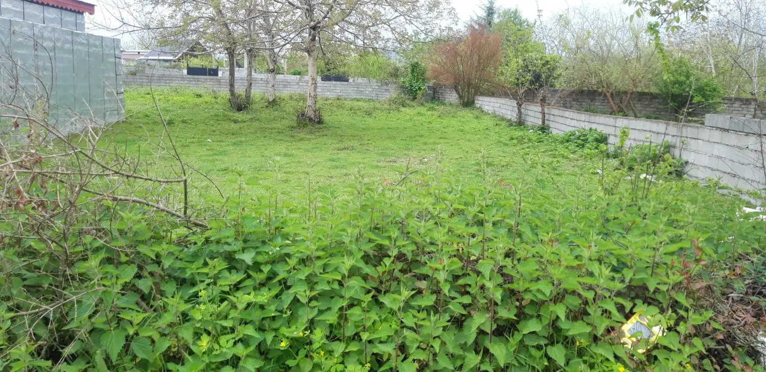 ۱۲۰۰متر زمین مسکونی،کوهپایه ای