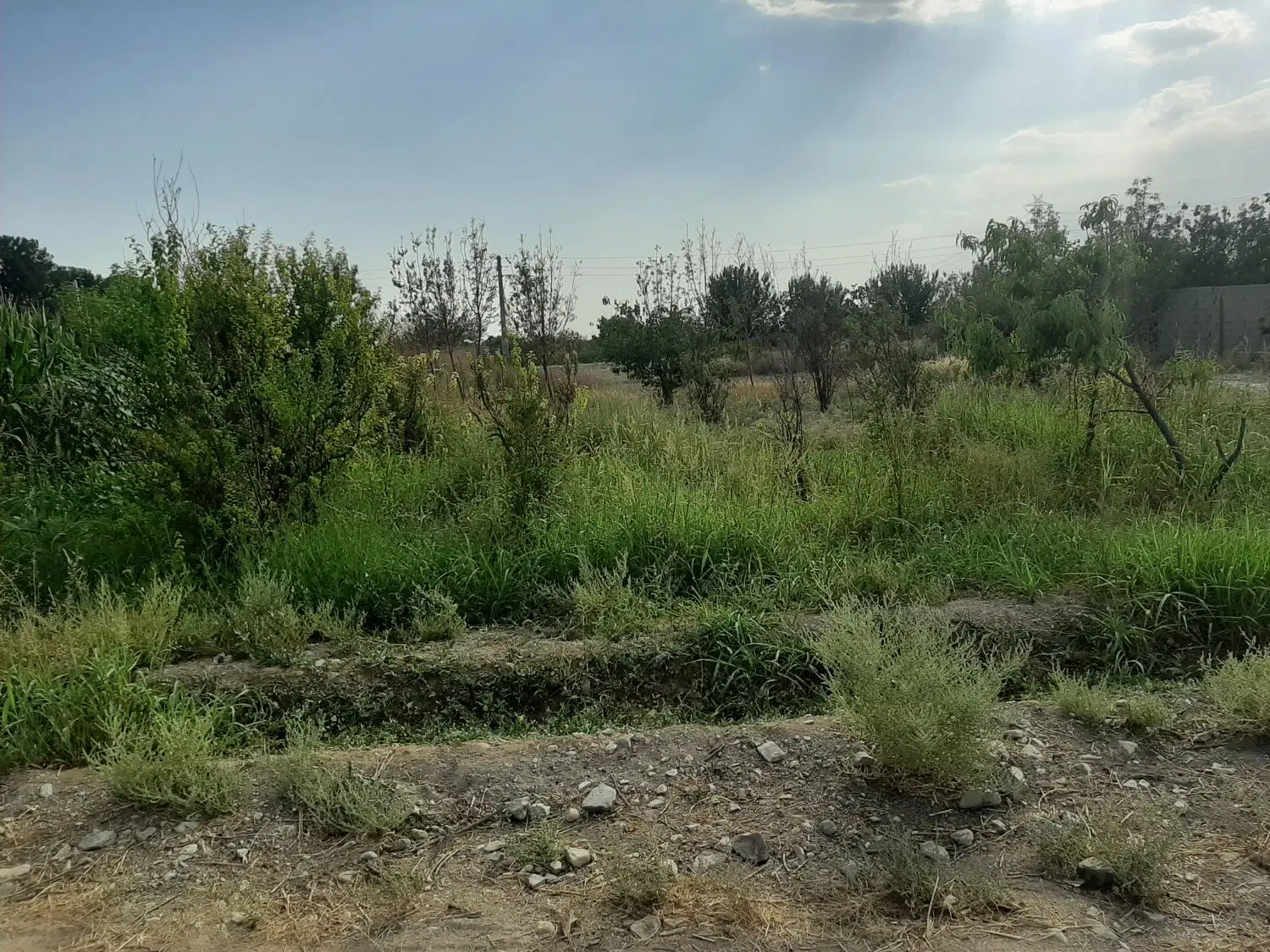 فروش زمین سیمون
