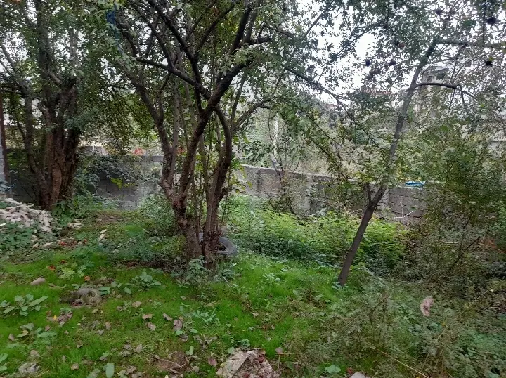 خانه کلنگی در تالش