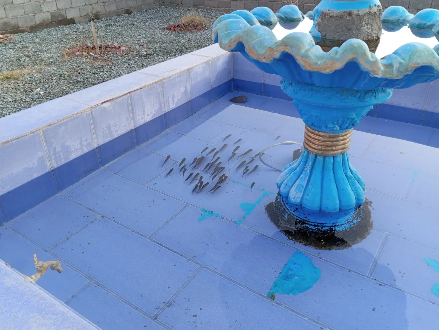 خانه باغ