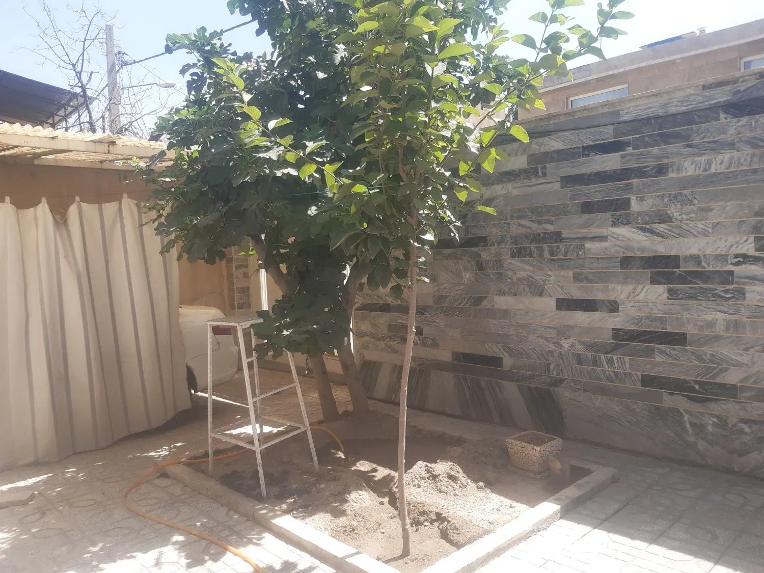 حیاط دربست سعدی