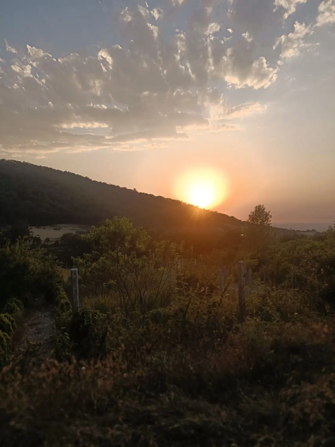 زمین هزارپیچ