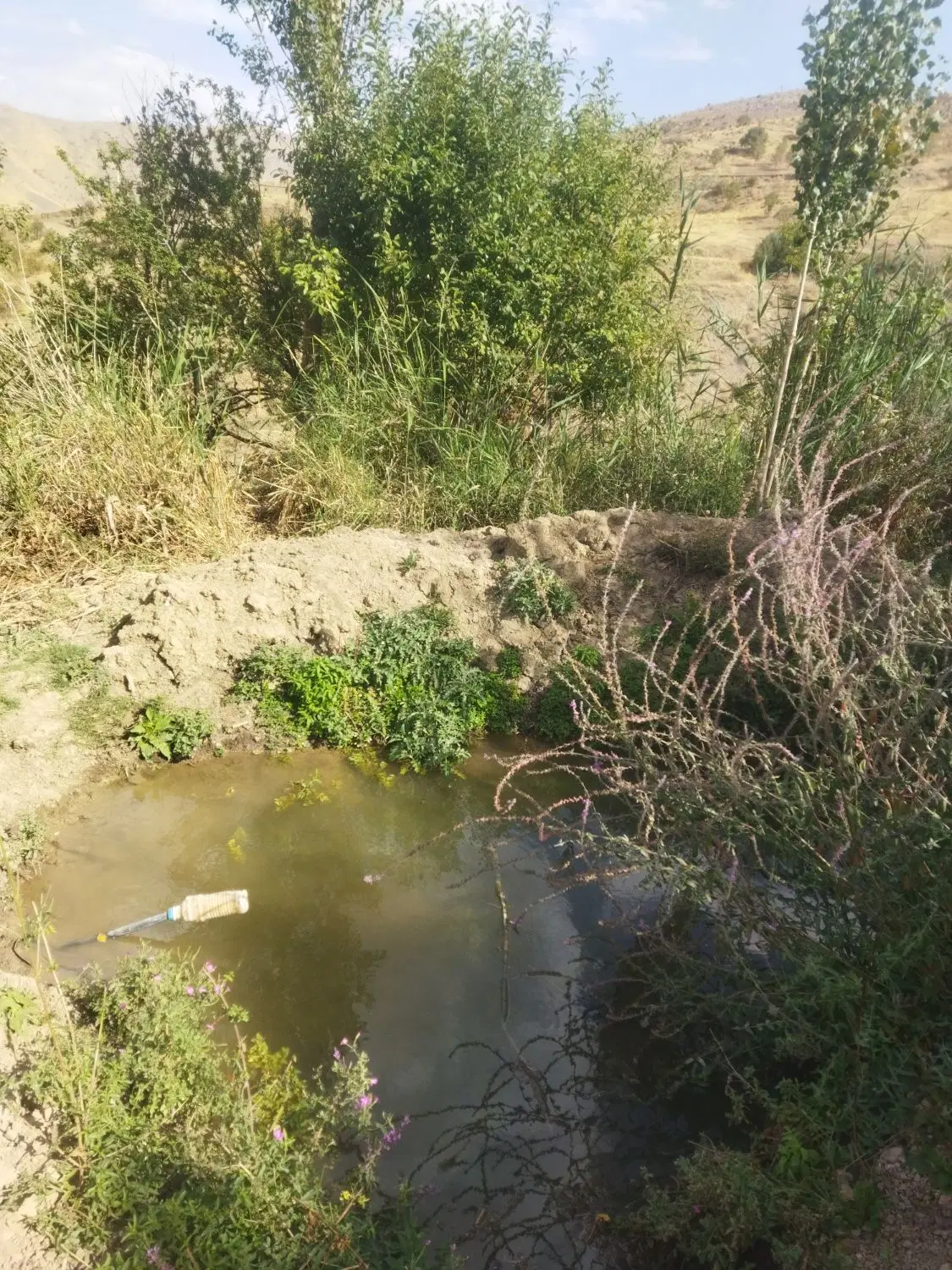 زمین ۲۰۰۰ متری الموت