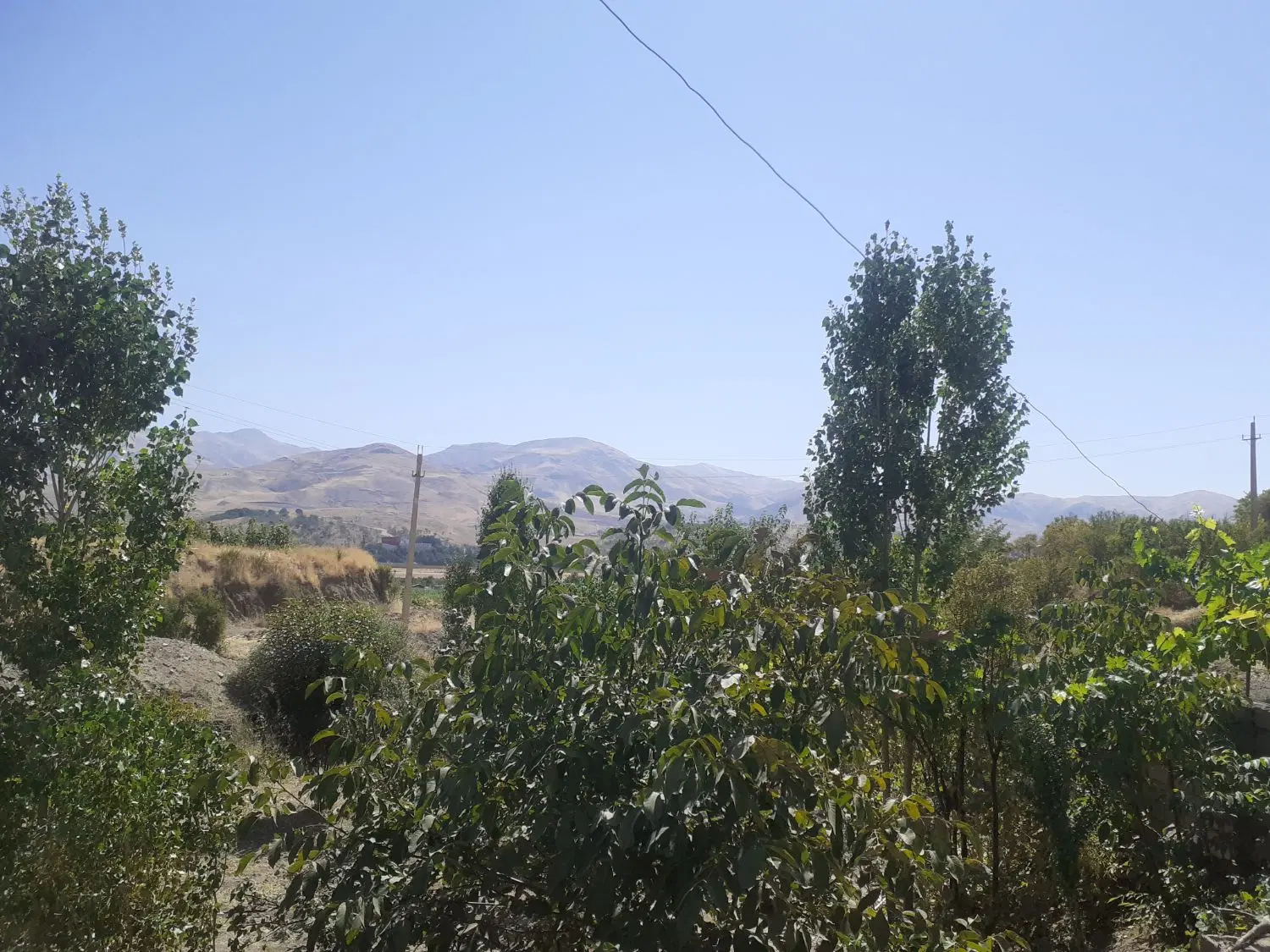 زمین ۳_۱۹آینده دار