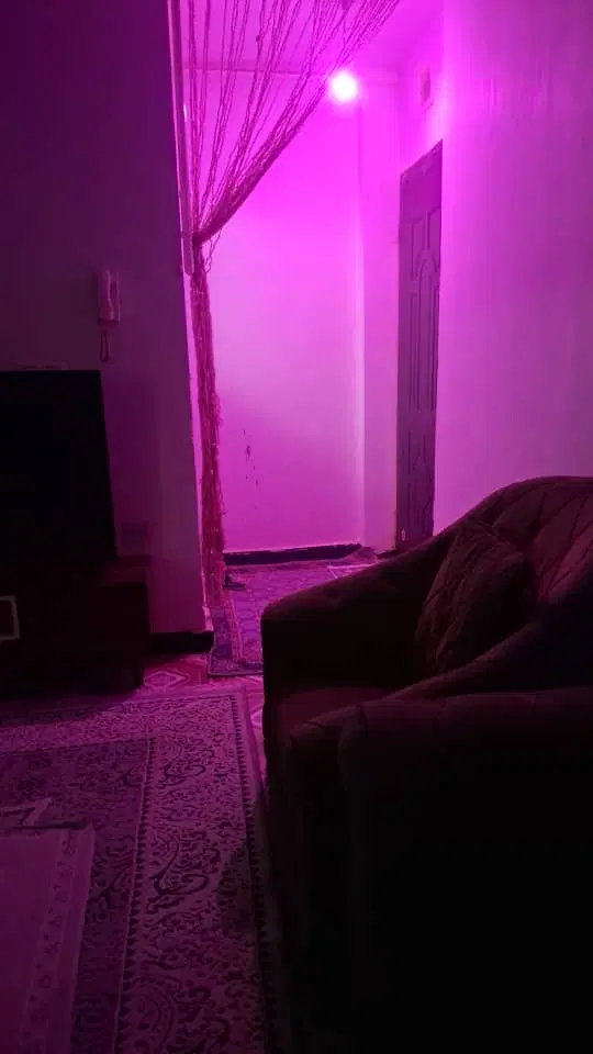اسانسورگاز شهری یک خواب کمددیواری درب محافظ