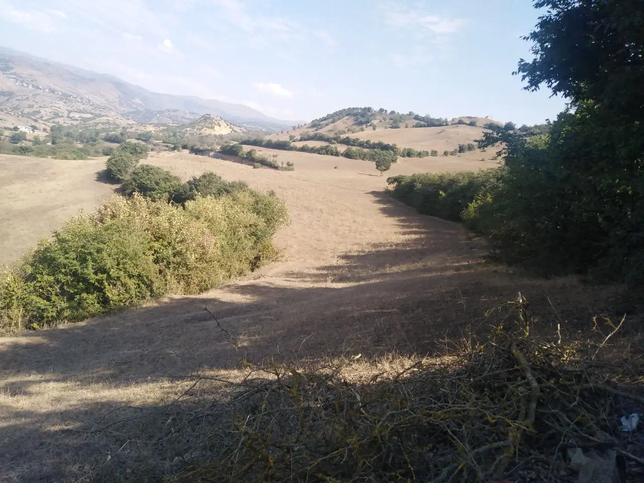 2 هکتار زمین دارای چشمه طبیعی در چهارمحل بره سر