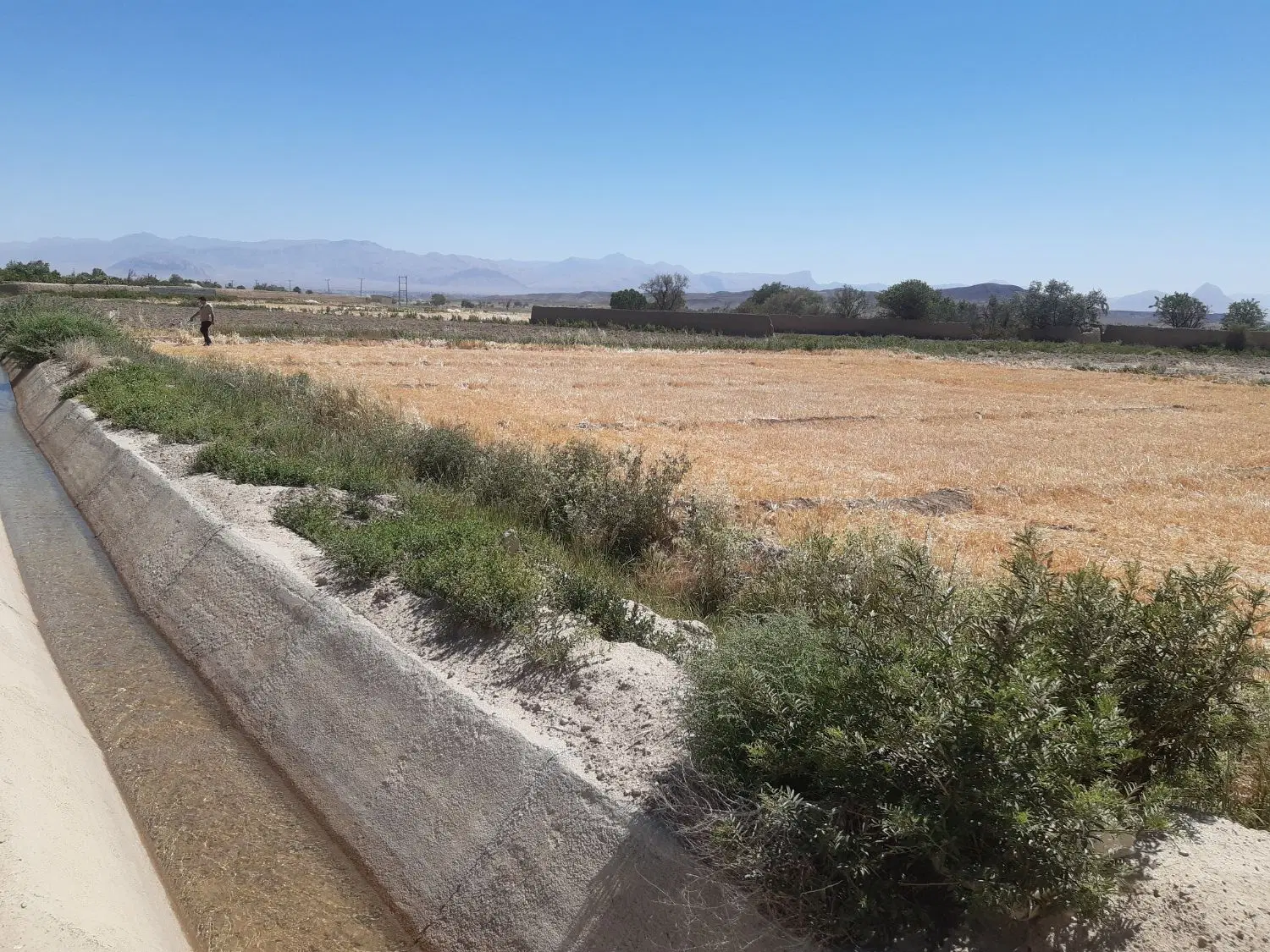 زمین کشاورزی ، باغی