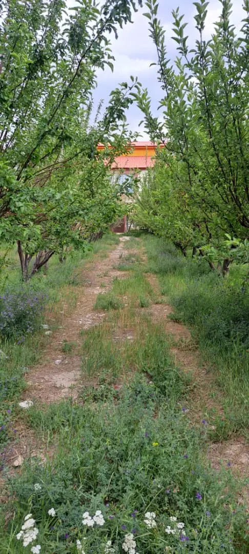 فروش زمین ۸۰۰۰ متری در فیروزکوه