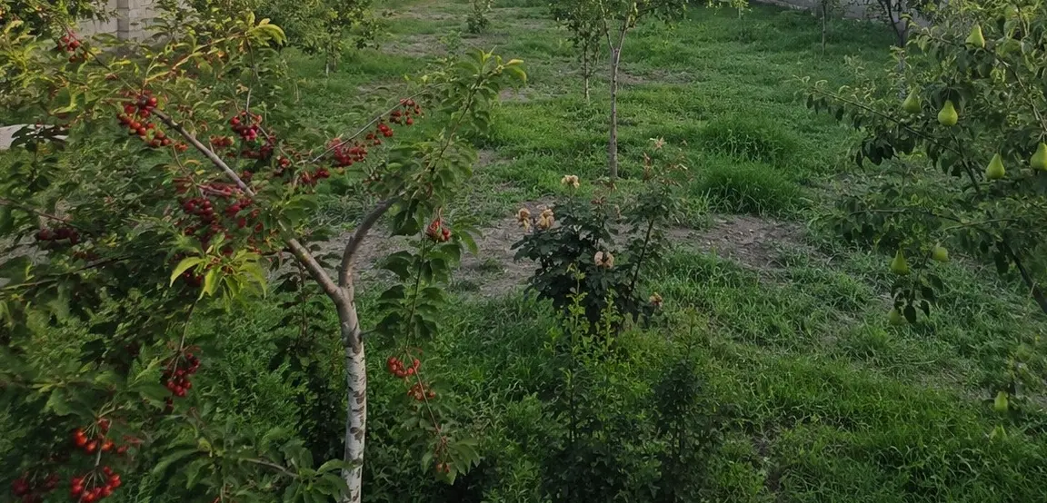 زمین ۴۰۰ متری در روستای نوکند.هشتگرد