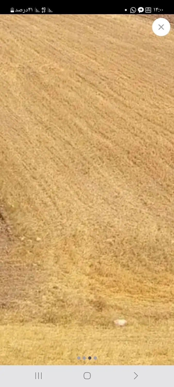 زمین کشاورزی دیم نزدیک روستای خیارک