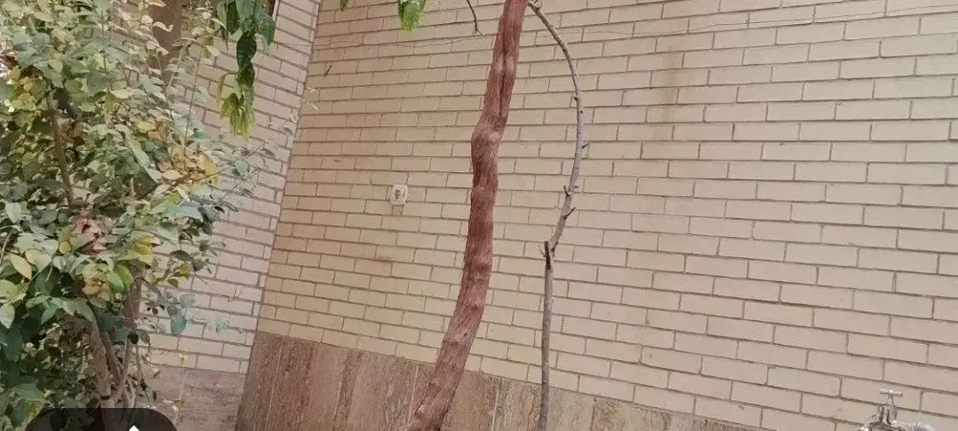 مسکن همکف اندیشه غدیر