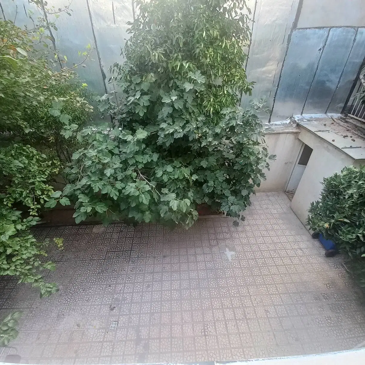 خوابگاه دخترانه خصوصی