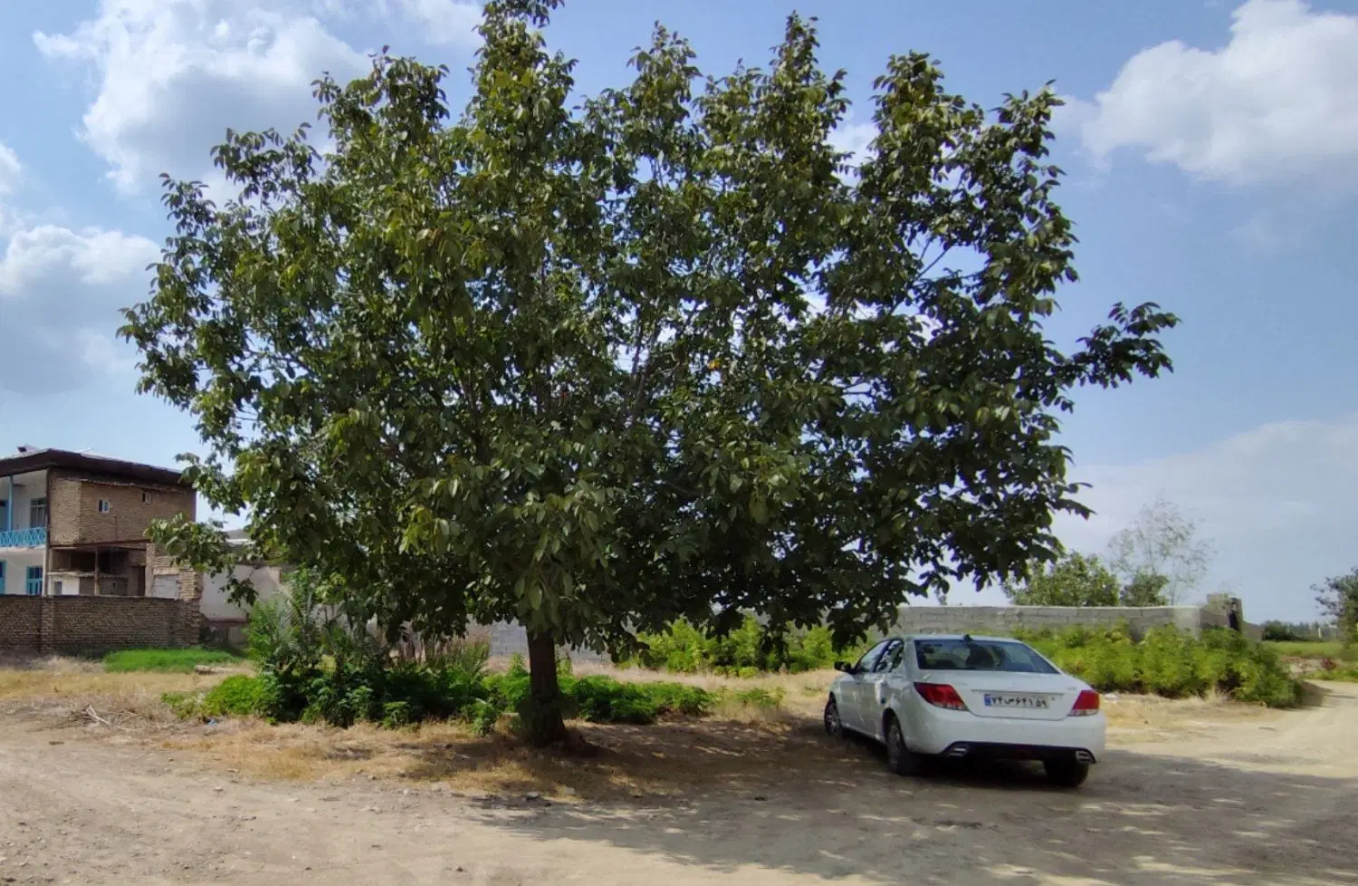 ۵۰۰ متر زمین داخل بافت روستای فیض آباد