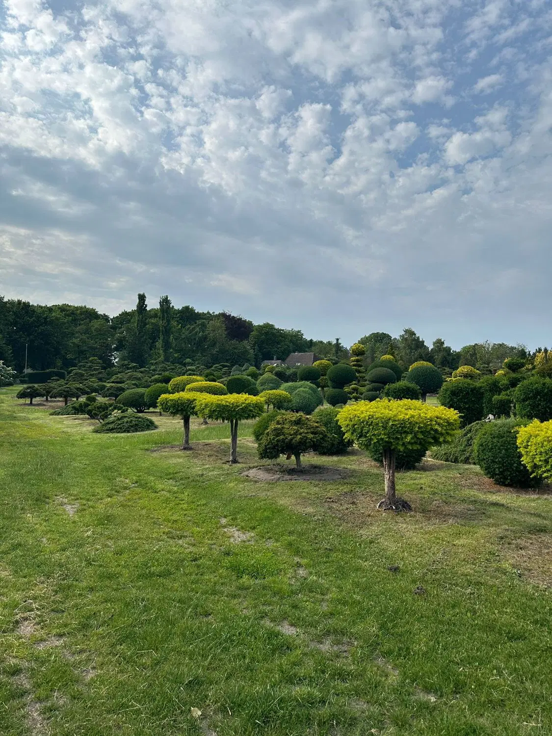 فروش زمین جهاد فاز یک ۳۶۰ سهمی