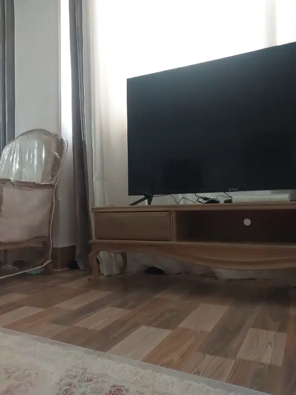 همخونه خانم