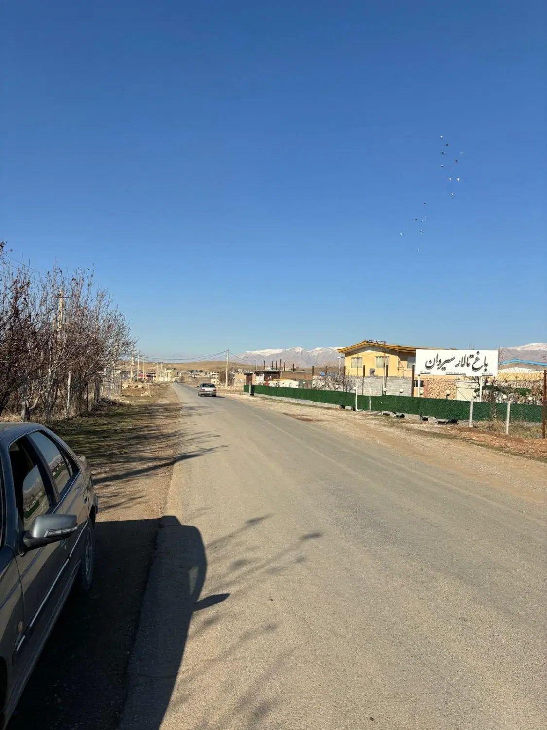 زمین کشاورزی روستای عمرمل
