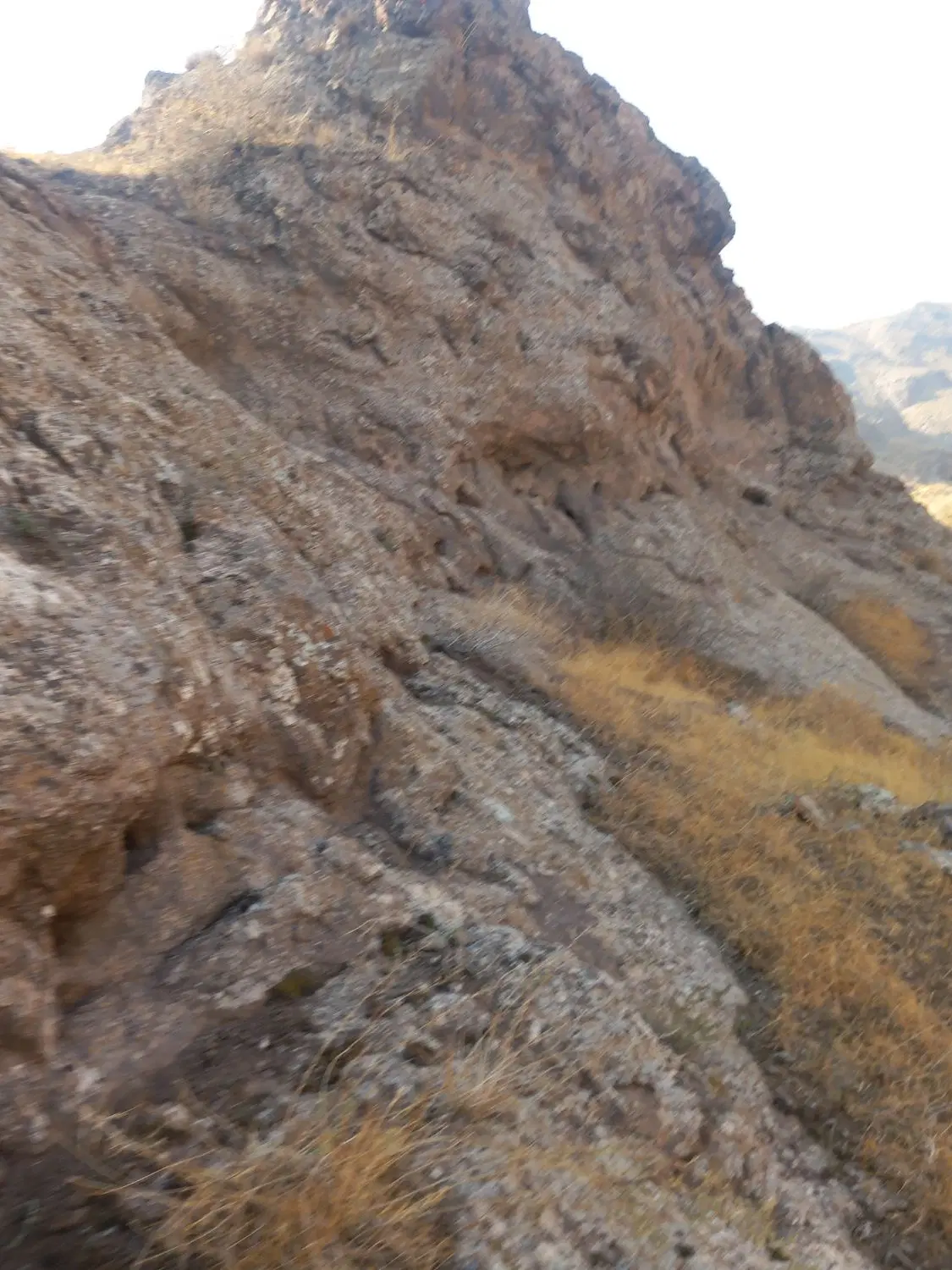 زمین در ناصراباد