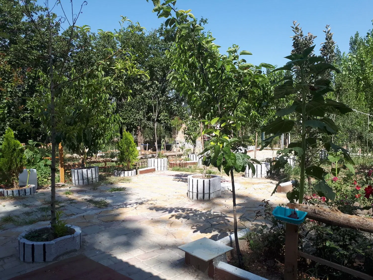 باغ ویلایی