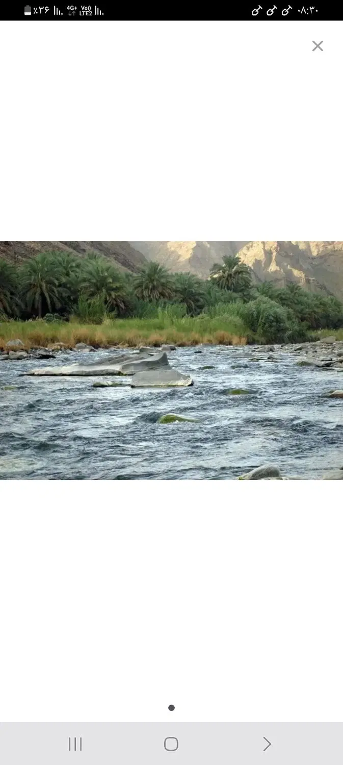 کشاورزی لوطین در روستا
