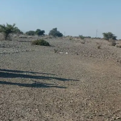 زمین فروشی
