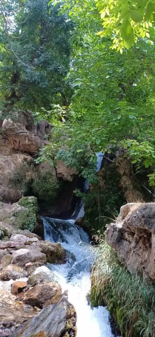 زمین فروشی نوفرست حدود۱۵۰۰متر