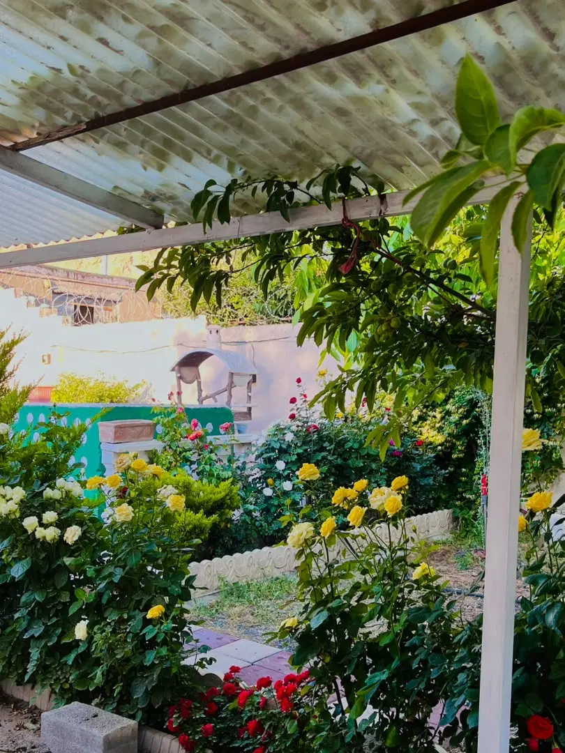 ویلا باغ