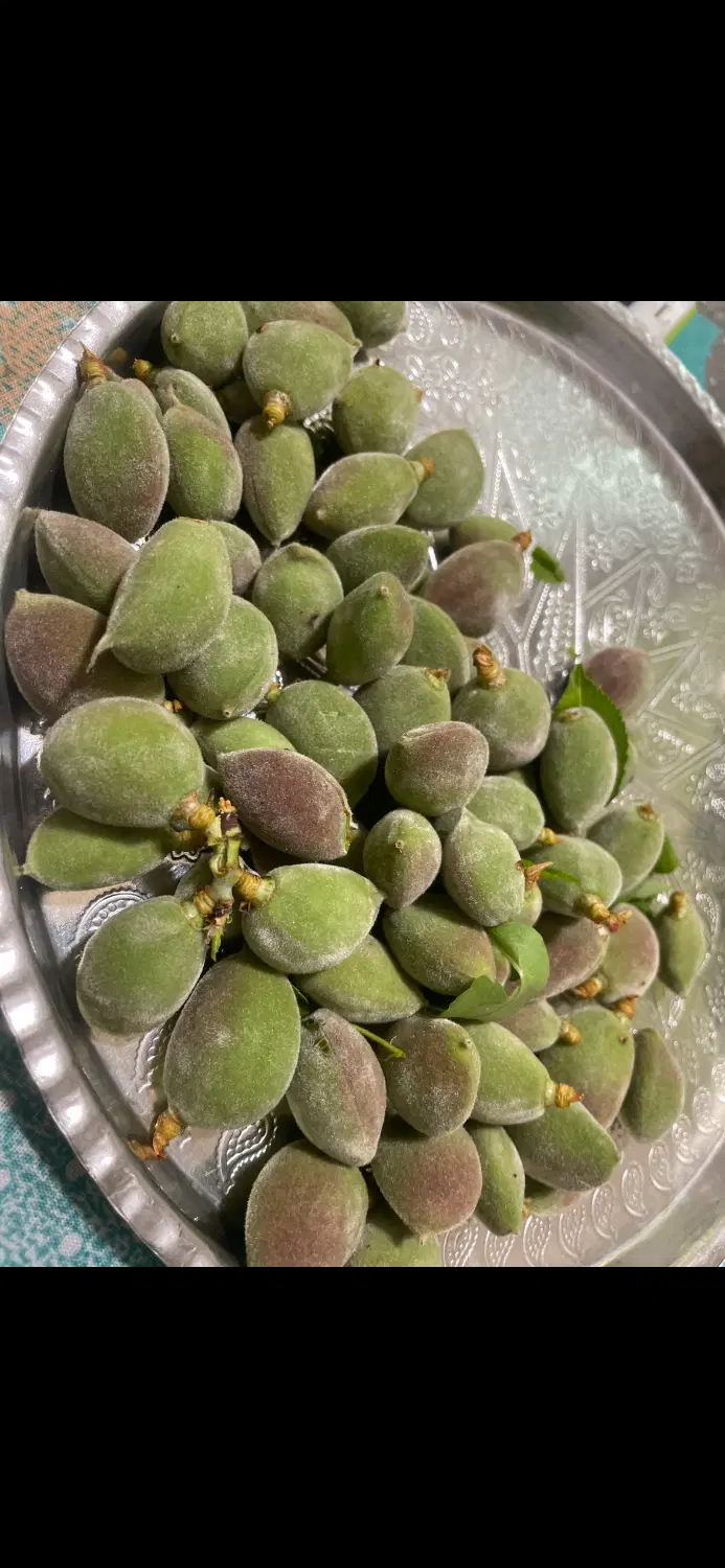 زمین مسکونی ورس